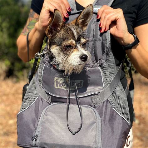 dog hiking backpack for frienchiess.